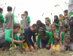 PT Timah Bersama Siswa SMAN 1 Sungailiat Tanam 3000 Pohon Mangrove di Pantai Takari