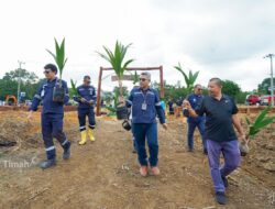 PT Timah Bangun Tanjung Ular Farm Estate untuk Mendukung Program Ketahanan Pangan Nasional